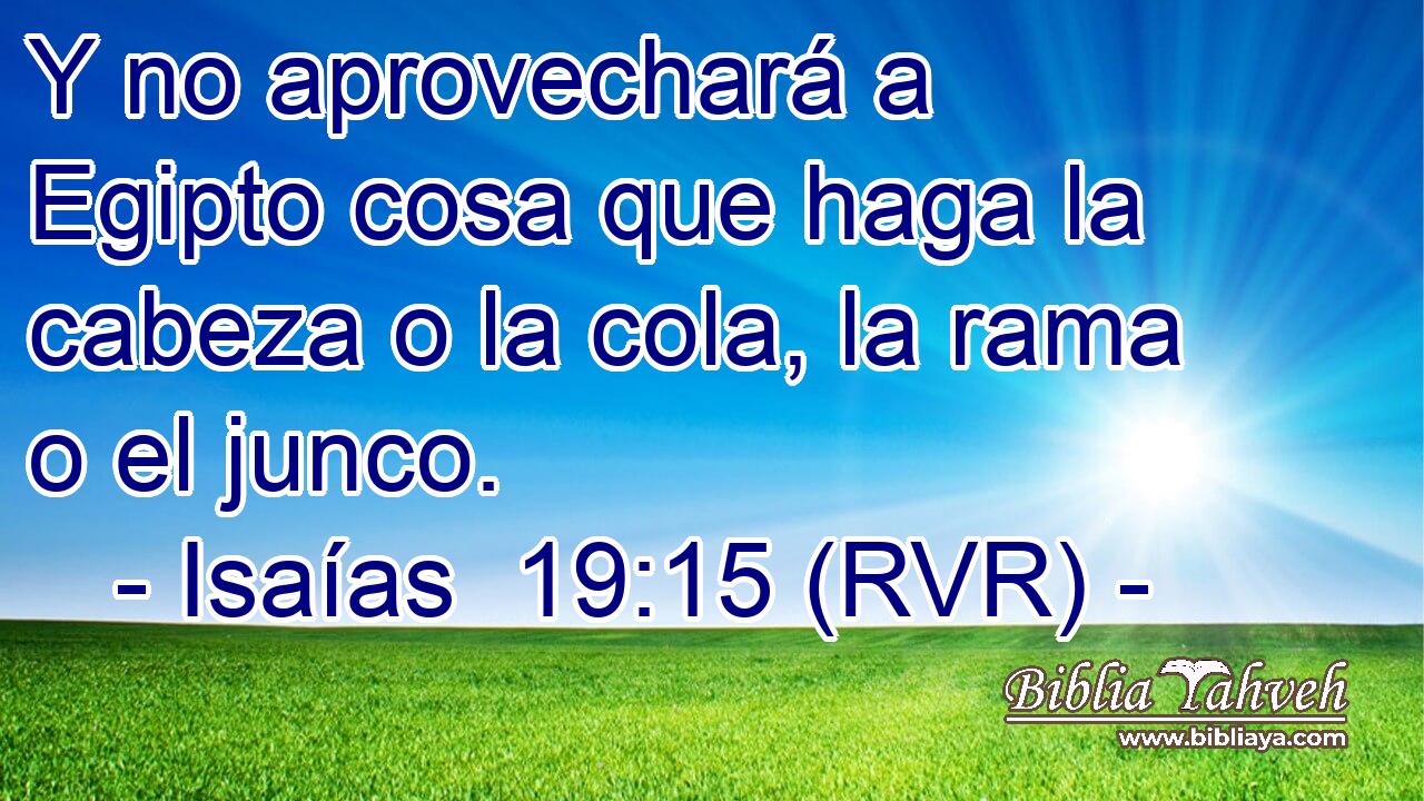 Y no aprovechará a Egipto cosa que haga la cabeza o la cola, la rama o el junco.