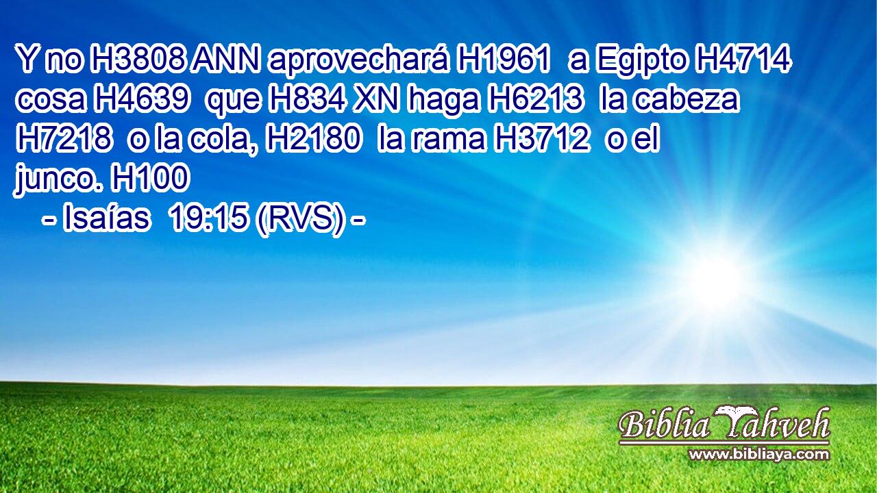 Y no H3808 ANN aprovechará H1961  a Egipto H4714  cosa H4639  que H834 XN haga H6213  la cabeza H7218  o la cola, H2180  la rama H3712  o el junco. H100  