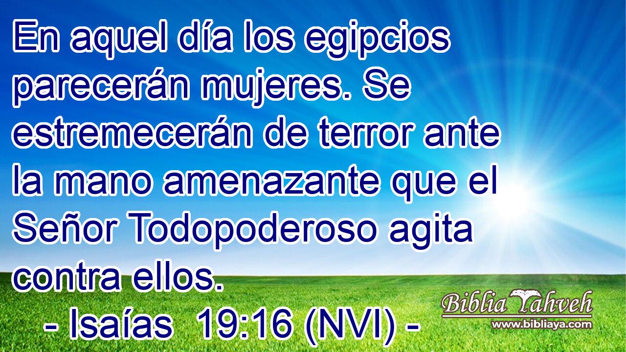  En aquel día los egipcios parecerán mujeres. Se estremecerán de terror ante la mano amenazante que el Señor Todopoderoso agita contra ellos. 