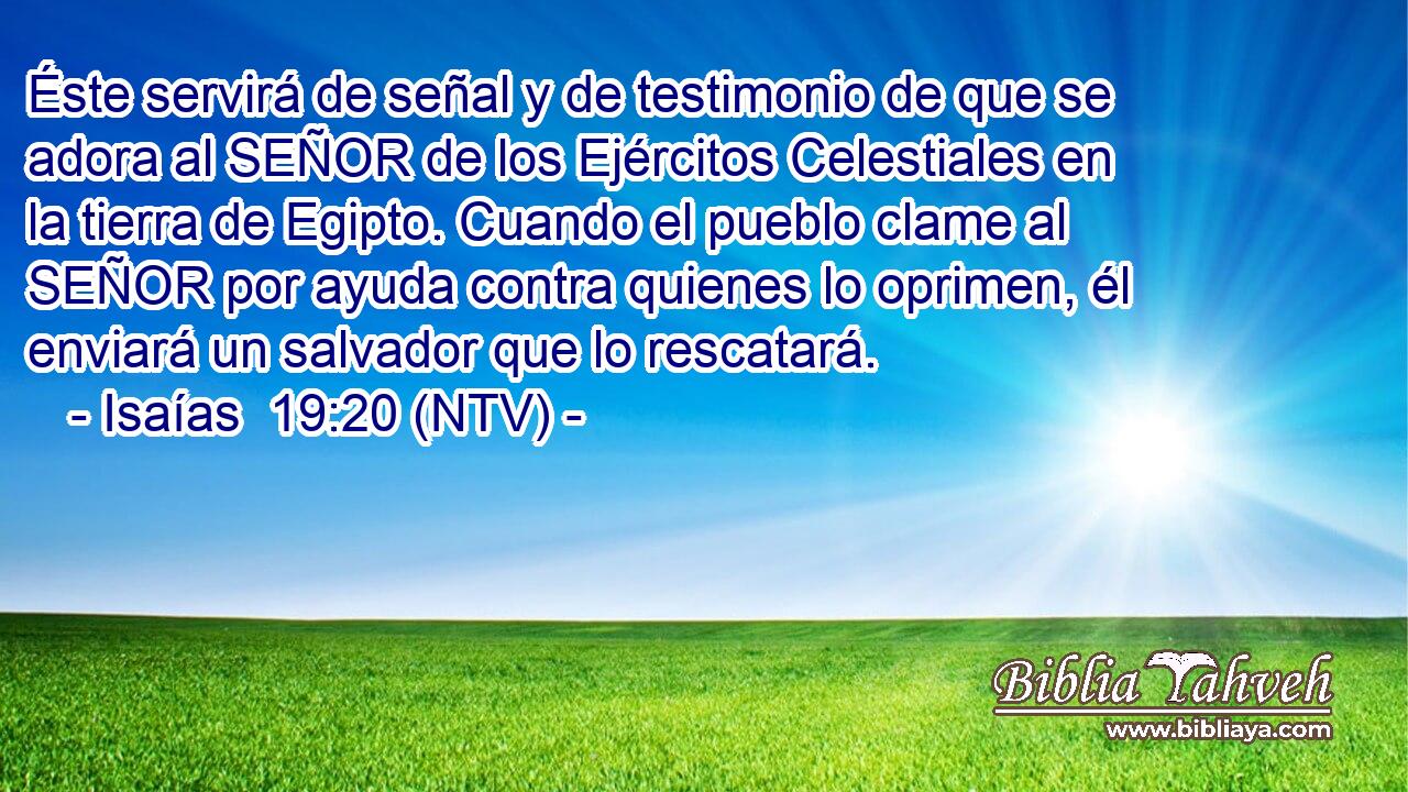 Éste servirá de señal y de testimonio de que se adora al SEÑOR de los Ejércitos Celestiales en la tierra de Egipto. Cuando el pueblo clame al SEÑOR por ayuda contra quienes lo oprimen, él enviará un salvador que lo rescatará.