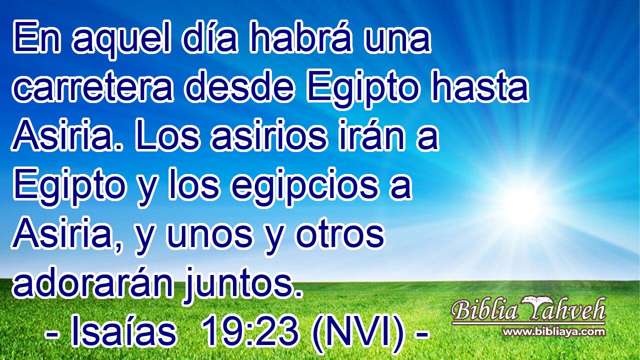  En aquel día habrá una carretera desde Egipto hasta Asiria. Los asirios irán a Egipto y los egipcios a Asiria, y unos y otros adorarán juntos. 