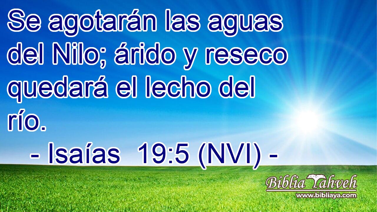  Se agotarán las aguas del Nilo; árido y reseco quedará el lecho del río. 