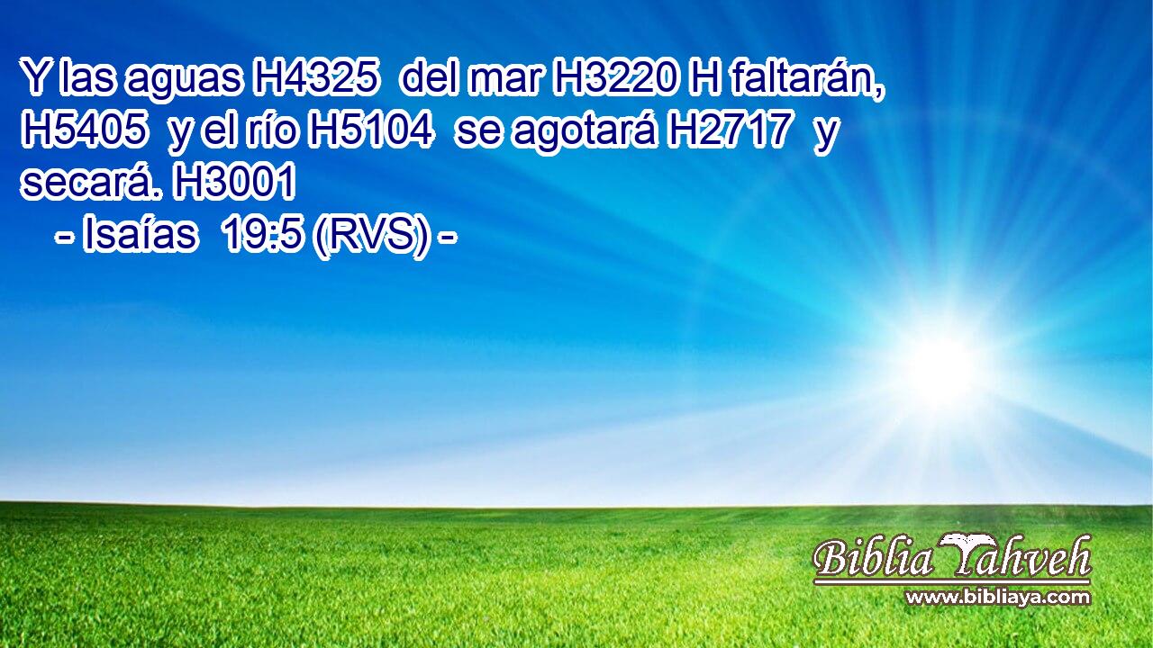 Y las aguas H4325  del mar H3220 H faltarán, H5405  y el río H5104  se agotará H2717  y secará. H3001  