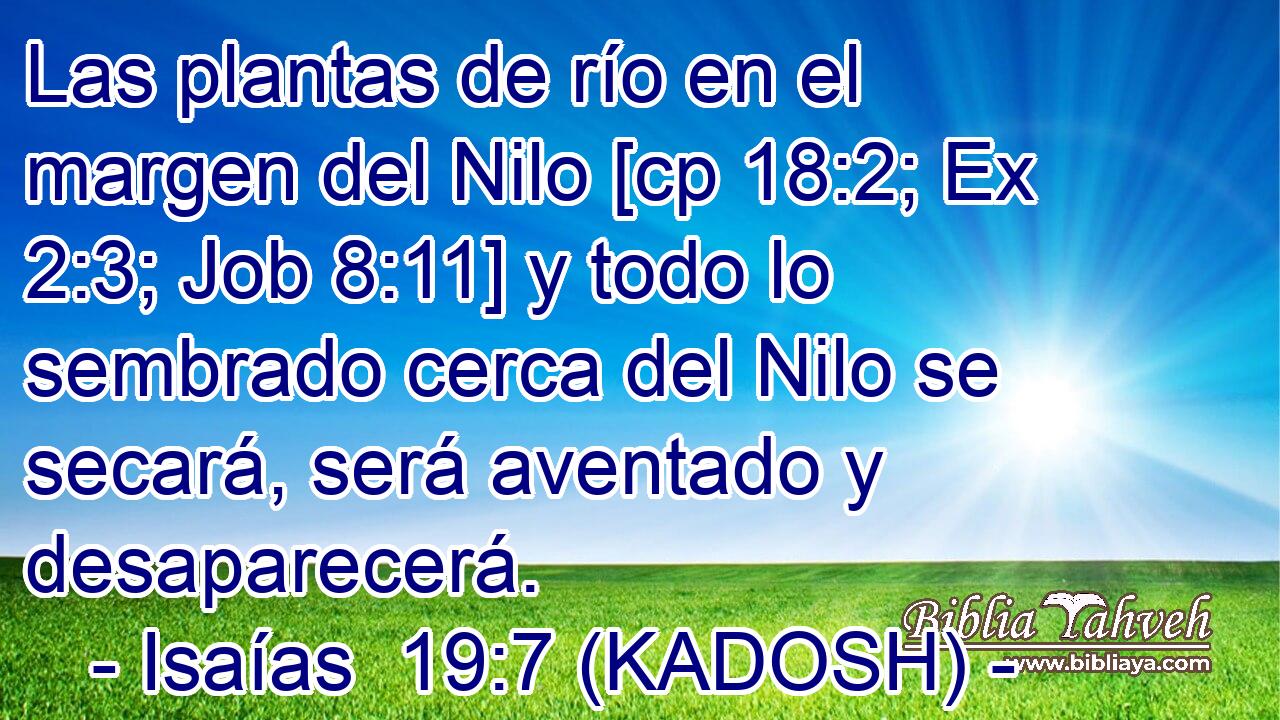  Las plantas de río en el margen del Nilo [cp 18:2; Ex 2:3; Job 8:11] y todo lo sembrado cerca del Nilo se secará, será aventado y desaparecerá. 
