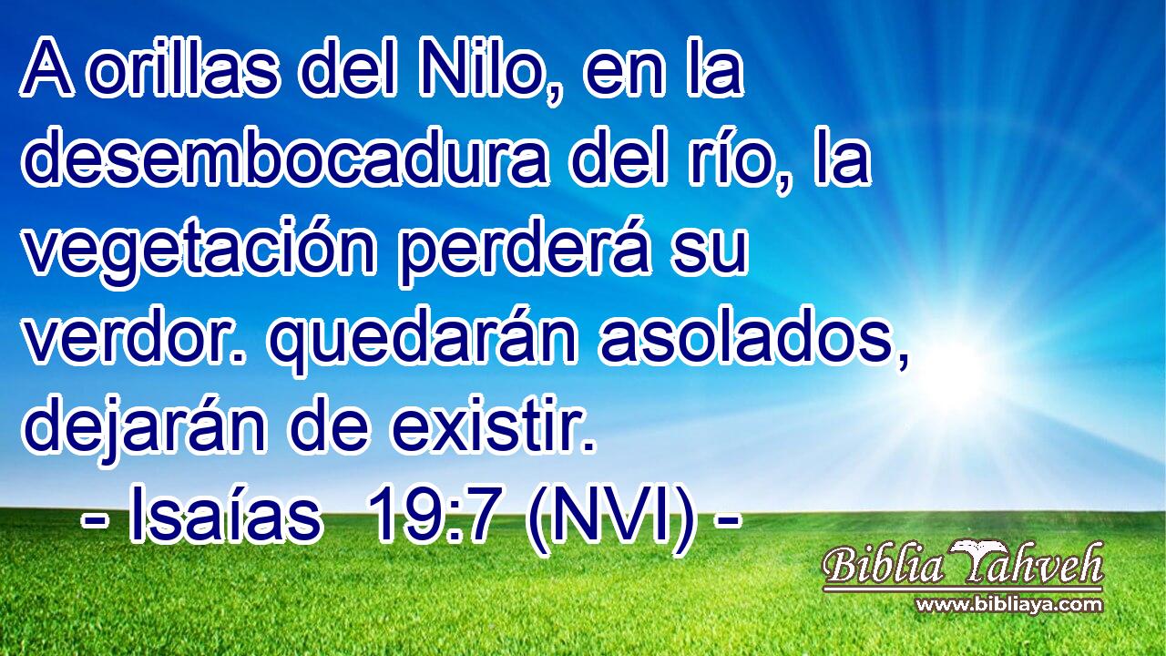  A orillas del Nilo, en la desembocadura del río, la vegetación perderá su verdor. quedarán asolados, dejarán de existir. 
