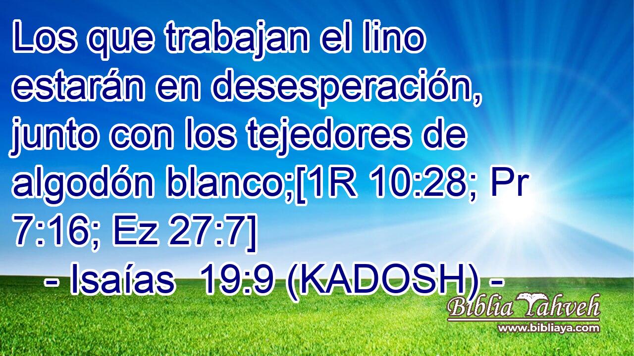  Los que trabajan el lino estarán en desesperación, junto con los tejedores de algodón blanco;[1R 10:28; Pr 7:16; Ez 27:7] 