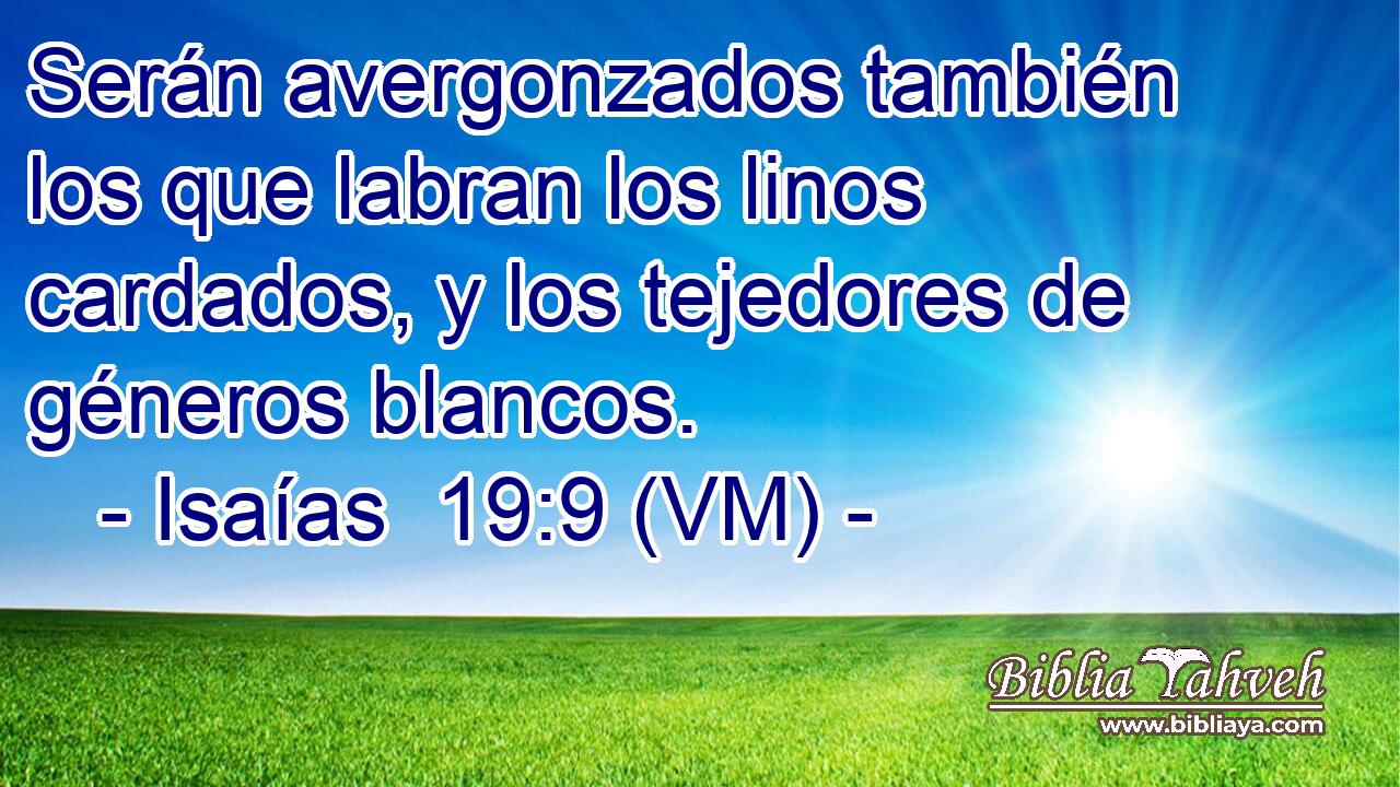  Serán avergonzados también los que labran los linos cardados, y los tejedores de géneros blancos. 