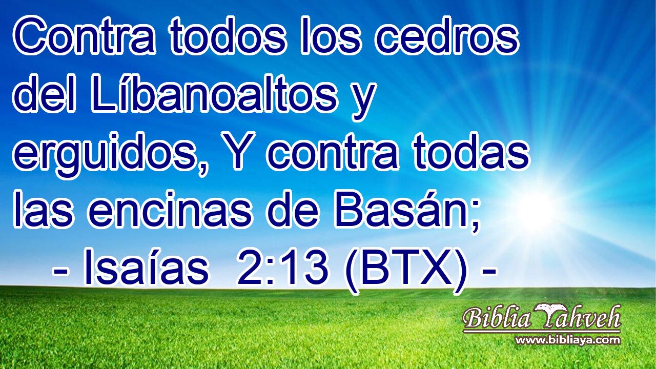 Contra todos los cedros del Líbanoaltos y erguidos, Y contra todas las encinas de Basán;