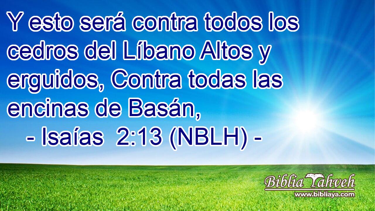  Y esto será contra todos los cedros del Líbano Altos y erguidos, Contra todas las encinas de Basán, 
