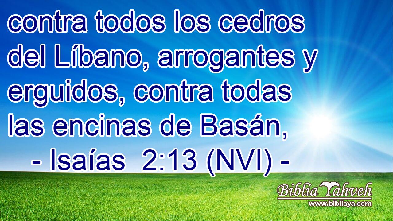  contra todos los cedros del Líbano, arrogantes y erguidos, contra todas las encinas de Basán, 