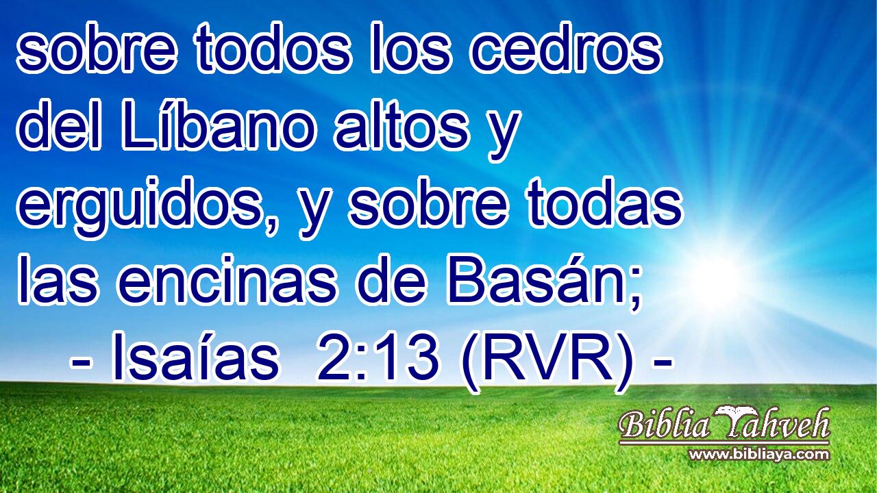 sobre todos los cedros del Líbano altos y erguidos, y sobre todas las encinas de Basán;
