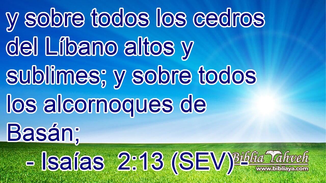 y sobre todos los cedros del Líbano altos y sublimes; y sobre todos los alcornoques de Basán;