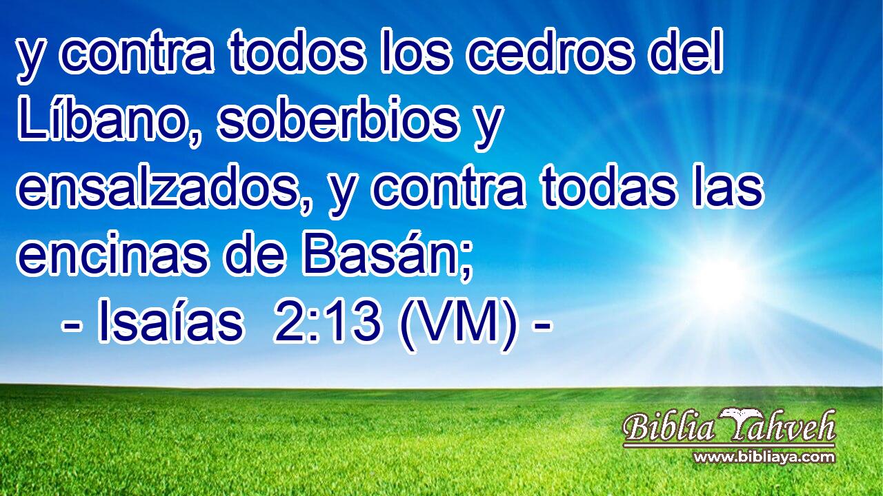  y contra todos los cedros del Líbano, soberbios y ensalzados, y contra todas las encinas de Basán; 