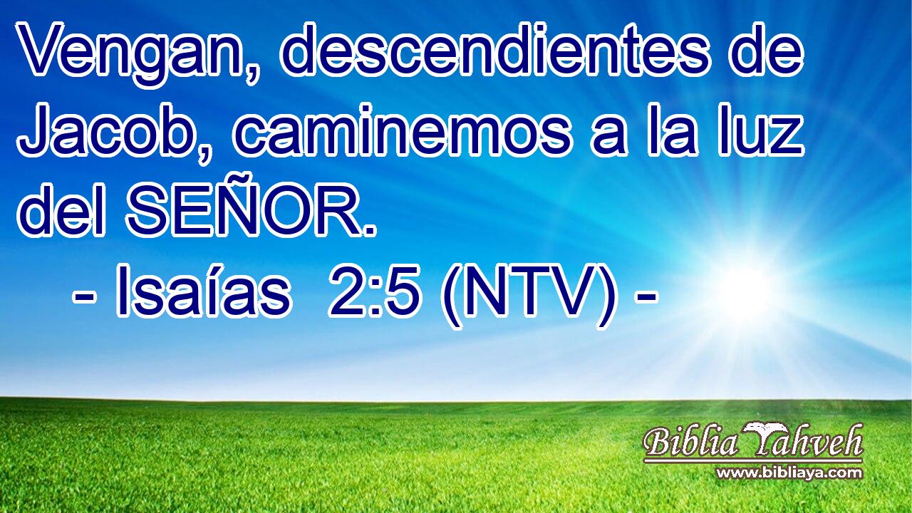 Vengan, descendientes de Jacob, caminemos a la luz del SEÑOR.