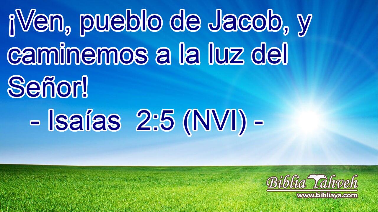  ¡Ven, pueblo de Jacob, y caminemos a la luz del Señor! 