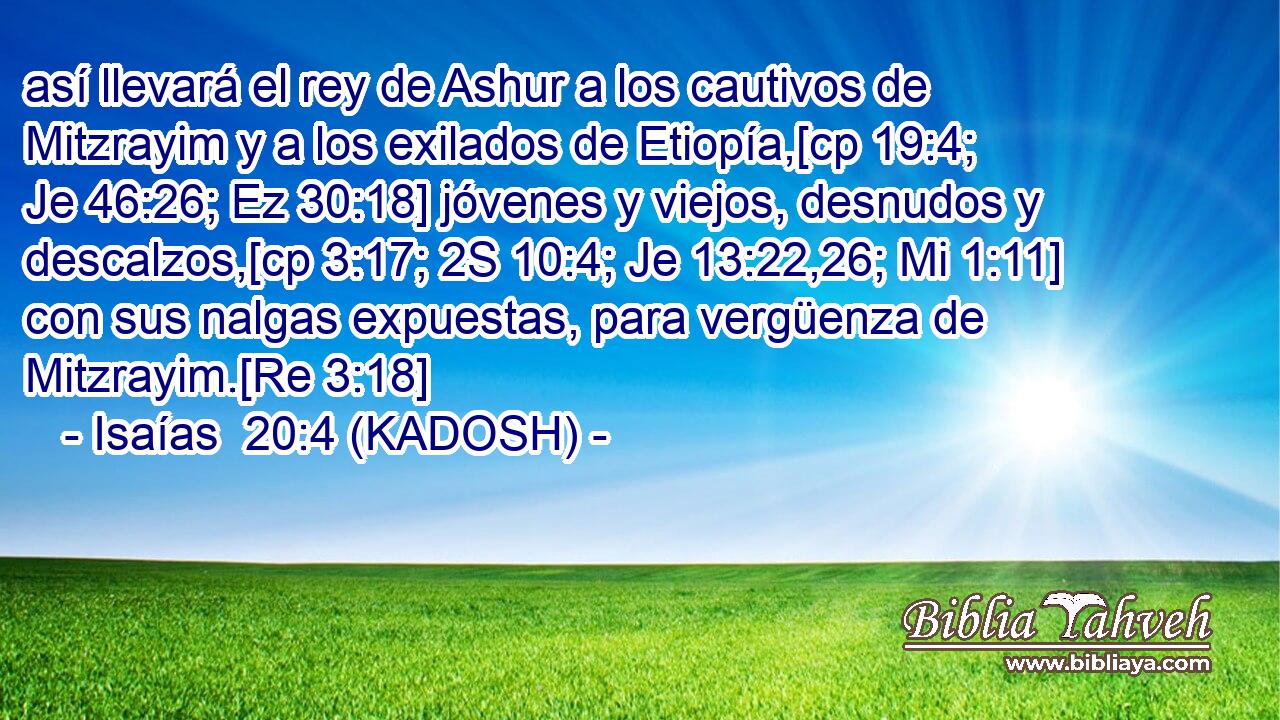  así llevará el rey de Ashur a los cautivos de Mitzrayim y a los exilados de Etiopía,[cp 19:4; Je 46:26; Ez 30:18] jóvenes y viejos, desnudos y descalzos,[cp 3:17; 2S 10:4; Je 13:22,26; Mi 1:11] con sus nalgas expuestas, para vergüenza de Mitzrayim.[Re 3:18] 