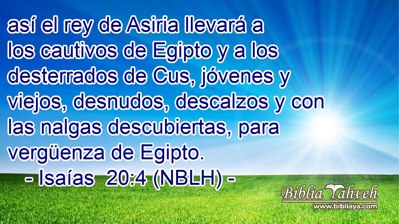  así el rey de Asiria llevará a los cautivos de Egipto y a los desterrados de Cus, jóvenes y viejos, desnudos, descalzos y con las nalgas descubiertas, para vergüenza de Egipto. 