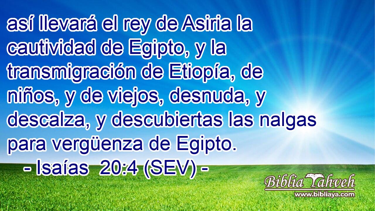 así llevará el rey de Asiria la cautividad de Egipto, y la transmigración de Etiopía, de niños, y de viejos, desnuda, y descalza, y descubiertas las nalgas para vergüenza de Egipto.