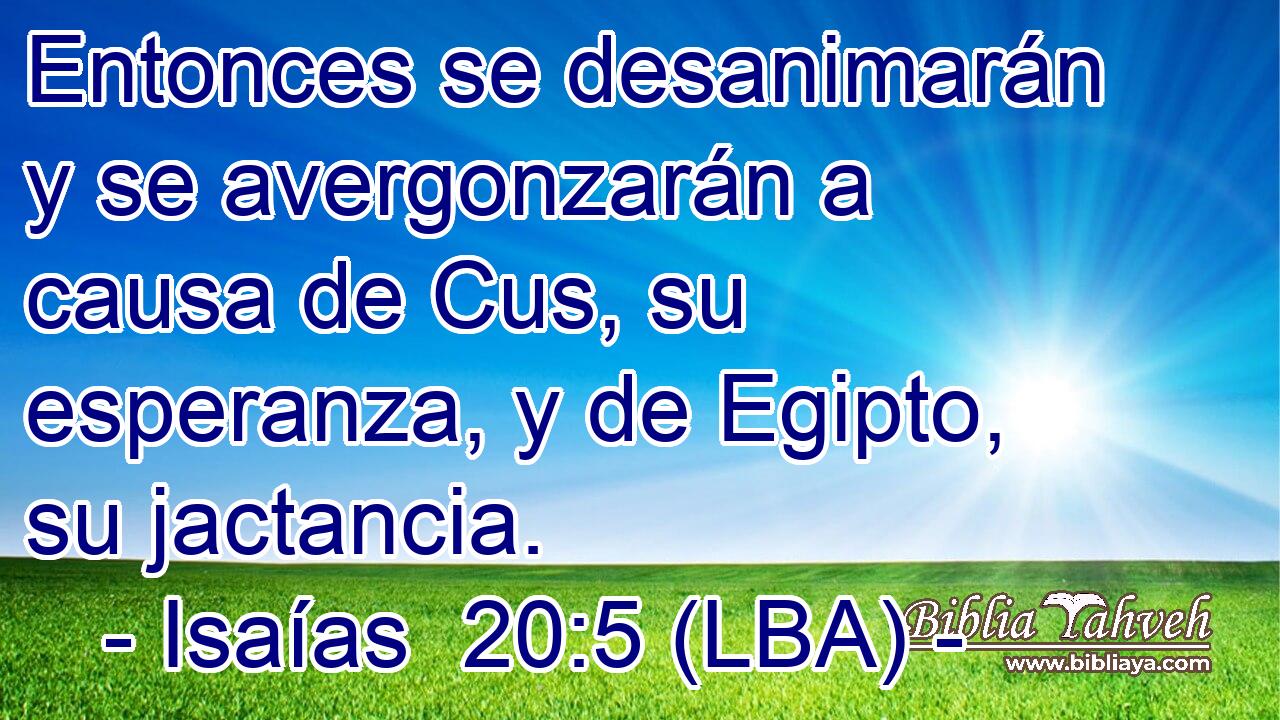 Entonces se desanimarán y se avergonzarán a causa de Cus, su esperanza, y de Egipto, su jactancia.