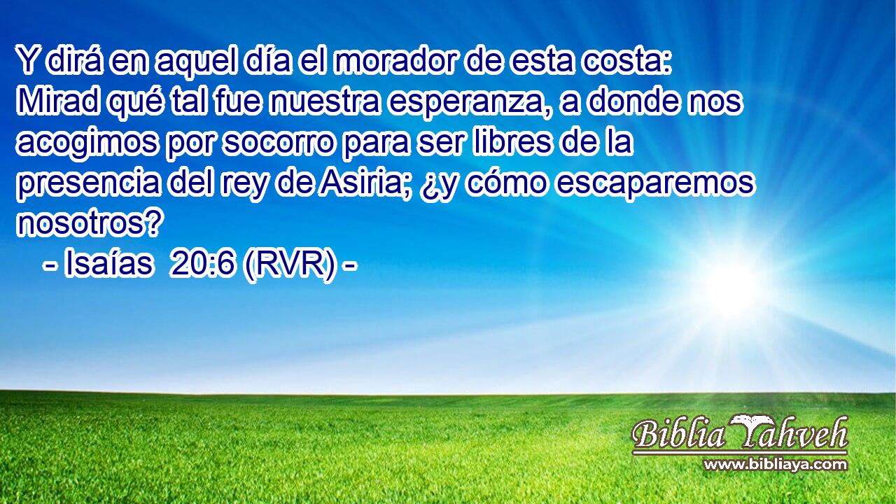 Y dirá en aquel día el morador de esta costa: Mirad qué tal fue nuestra esperanza, a donde nos acogimos por socorro para ser libres de la presencia del rey de Asiria; ¿y cómo escaparemos nosotros?