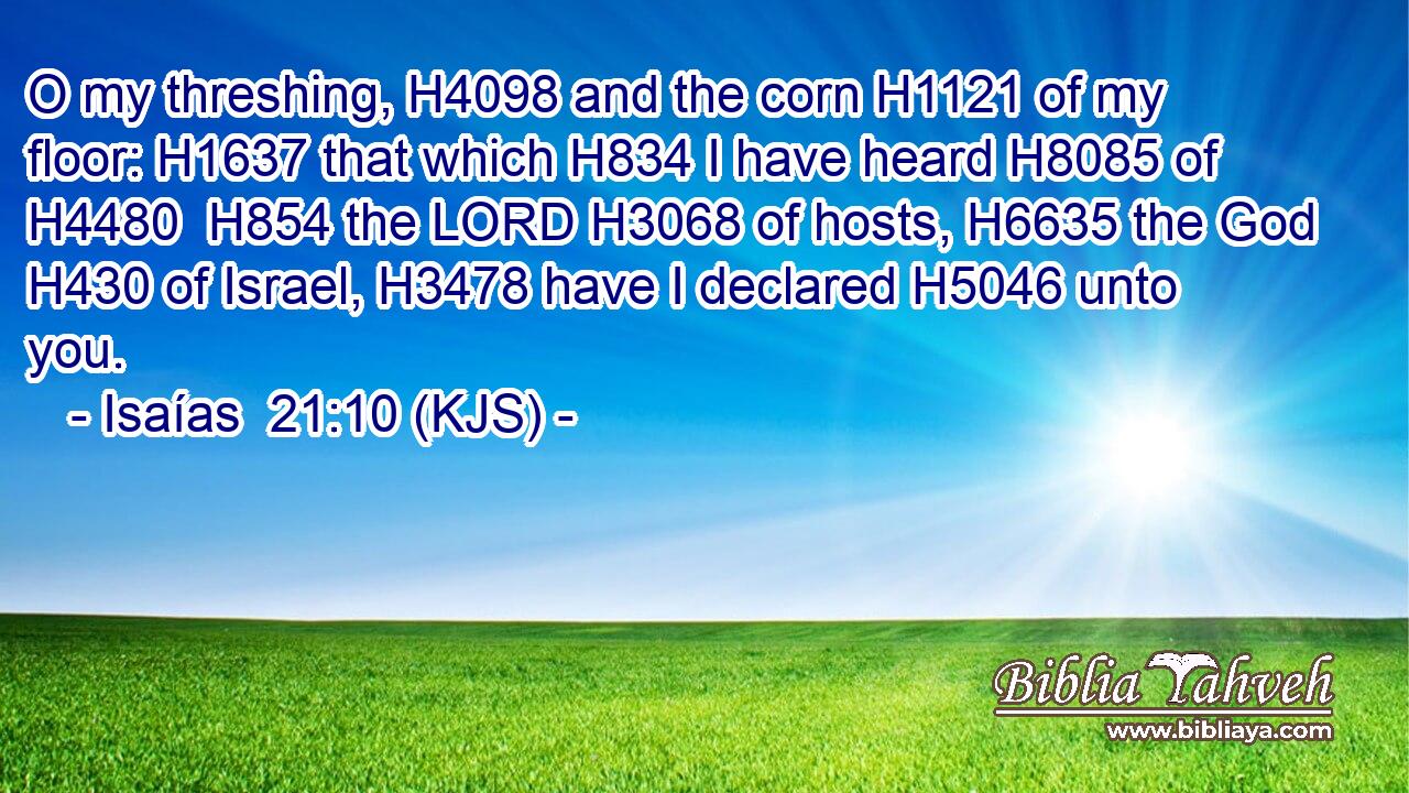 O my threshing, H4098 and the corn H1121 of my floor: H1637 that which H834 I have heard H8085 of H4480  H854 the LORD H3068 of hosts, H6635 the God H430 of Israel, H3478 have I declared H5046 unto you.