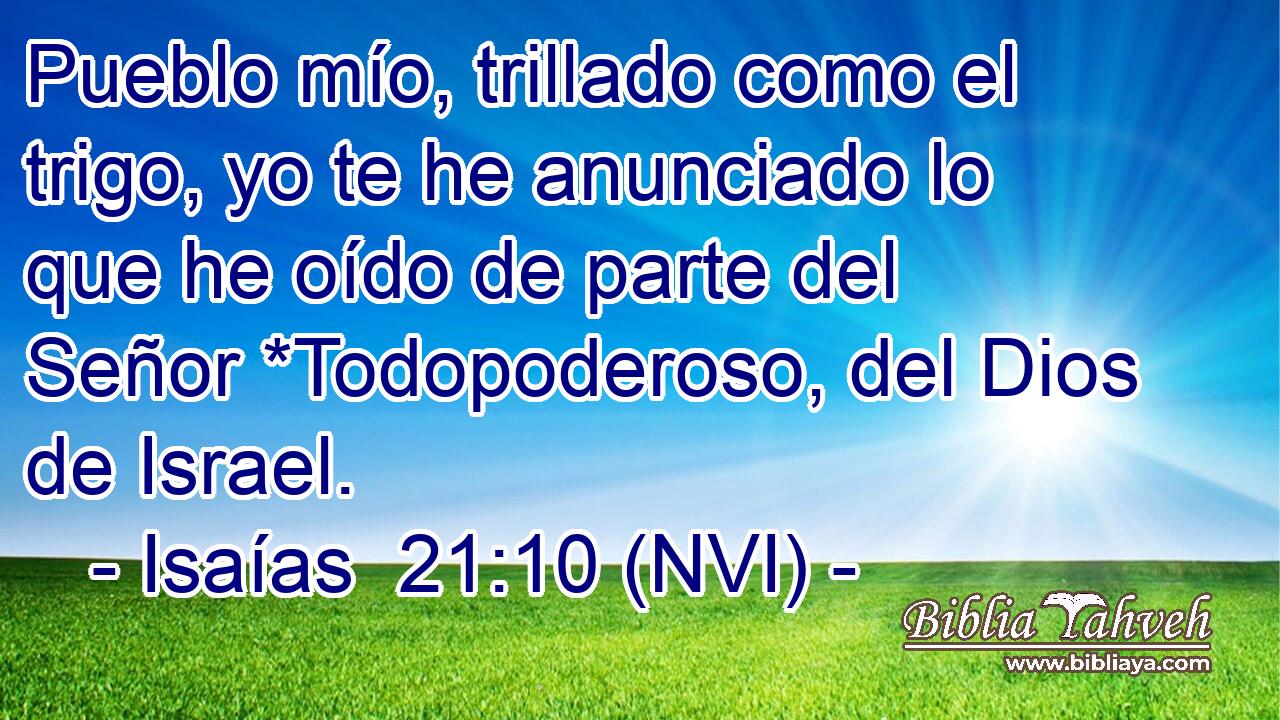  Pueblo mío, trillado como el trigo, yo te he anunciado lo que he oído de parte del Señor *Todopoderoso, del Dios de Israel. 