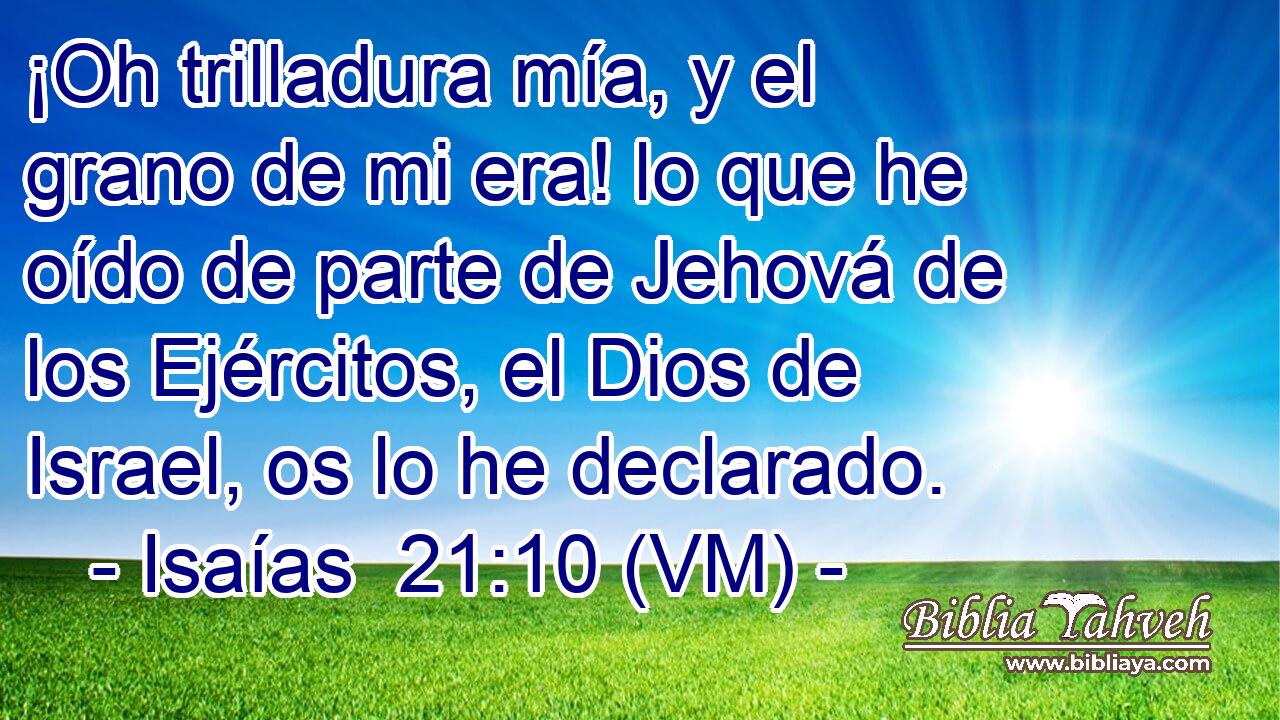  ¡Oh trilladura mía, y el grano de mi era! lo que he oído de parte de Jehová de los Ejércitos, el Dios de Israel, os lo he declarado. 