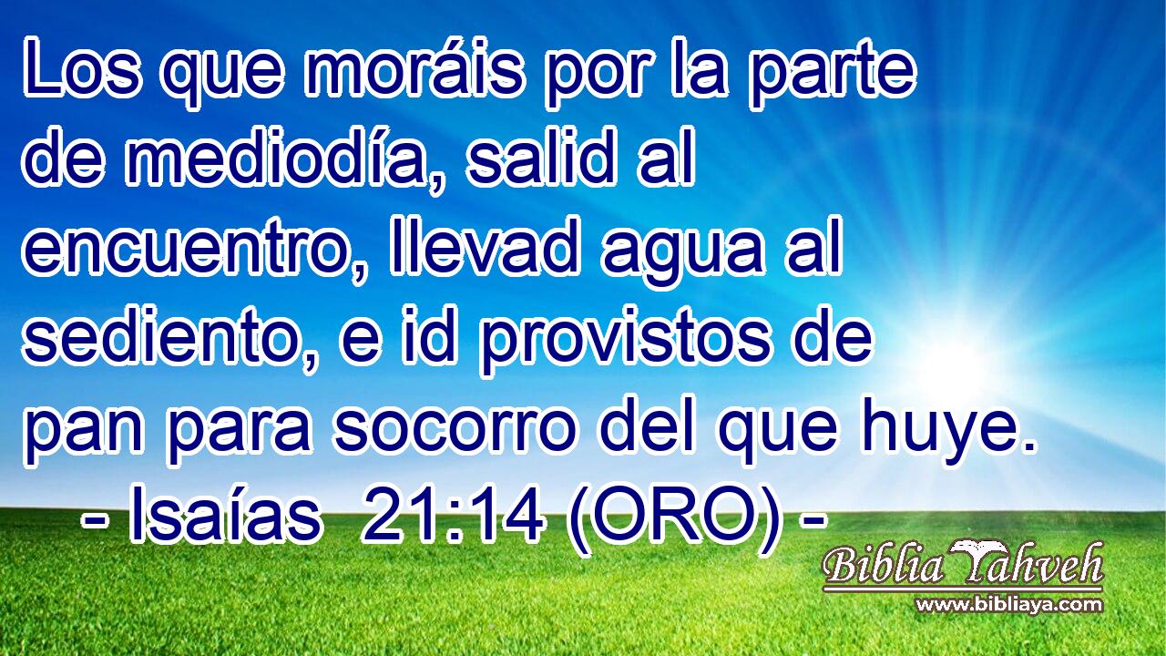  Los que moráis por la parte de mediodía, salid al encuentro, llevad agua al sediento, e id provistos de pan para socorro del que huye. 