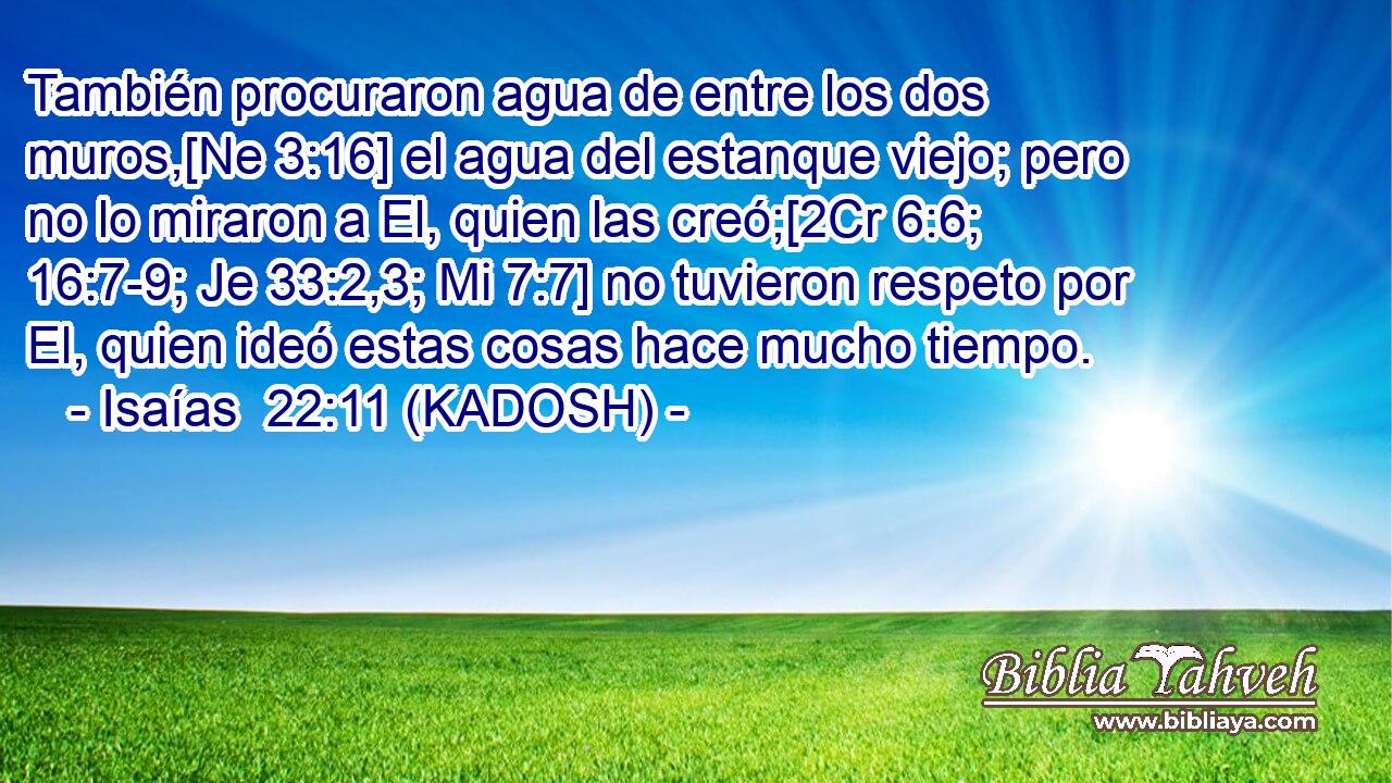  También procuraron agua de entre los dos muros,[Ne 3:16] el agua del estanque viejo; pero no lo miraron a El, quien las creó;[2Cr 6:6; 16:7-9; Je 33:2,3; Mi 7:7] no tuvieron respeto por El, quien ideó estas cosas hace mucho tiempo. 