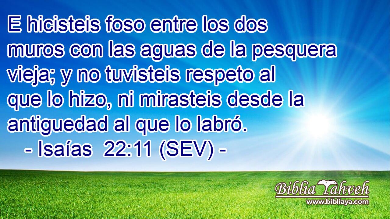 E hicisteis foso entre los dos muros con las aguas de la pesquera vieja; y no tuvisteis respeto al que lo hizo, ni mirasteis desde la antiguedad al que lo labró.