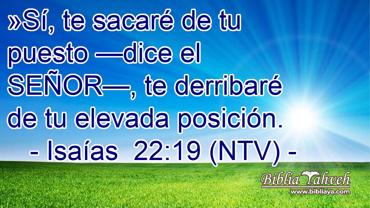 »Sí, te sacaré de tu puesto —dice el SEÑOR—, te derribaré de tu elevada posición.