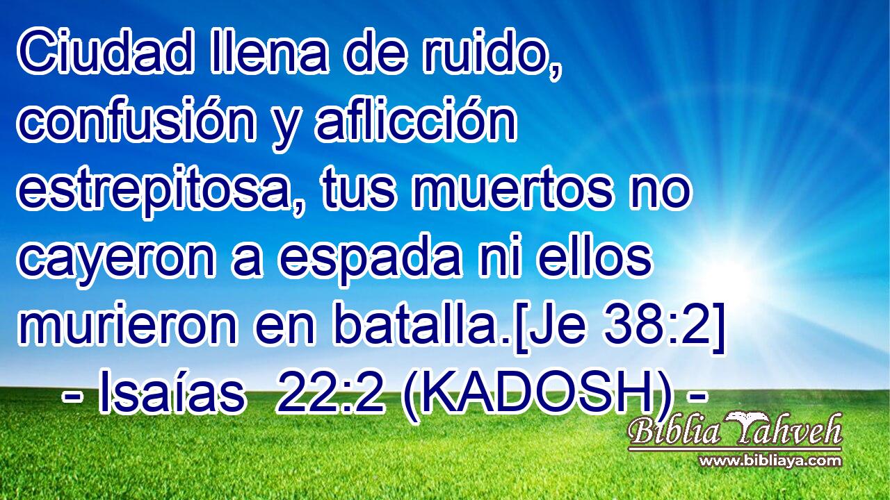  Ciudad llena de ruido, confusión y aflicción estrepitosa, tus muertos no cayeron a espada ni ellos murieron en batalla.[Je 38:2] 