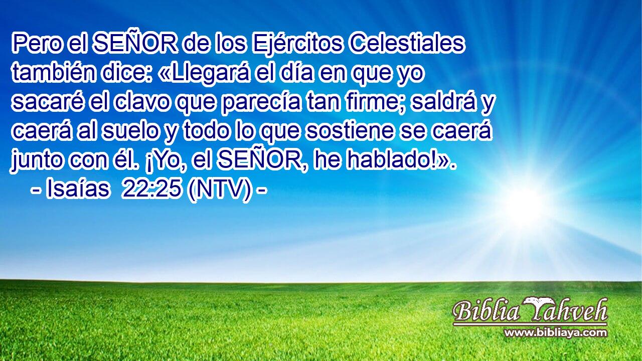 Pero el SEÑOR de los Ejércitos Celestiales también dice: «Llegará el día en que yo sacaré el clavo que parecía tan firme; saldrá y caerá al suelo y todo lo que sostiene se caerá junto con él. ¡Yo, el SEÑOR, he hablado!».