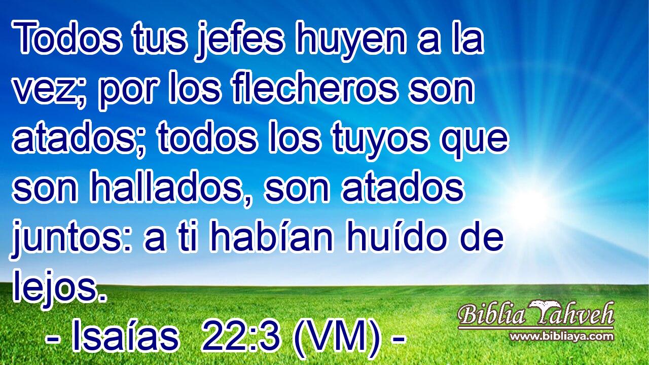  Todos tus jefes huyen a la vez; por los flecheros son atados; todos los tuyos que son hallados, son atados juntos: a ti habían huído de lejos. 