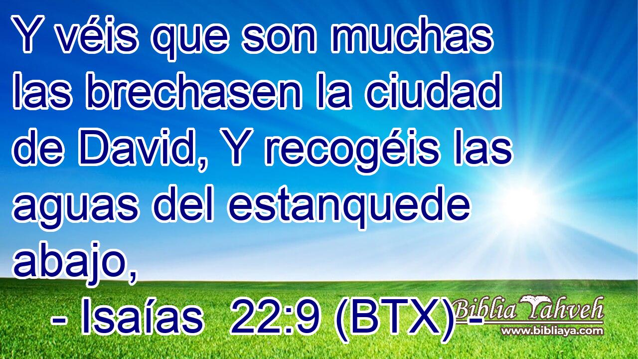 Y véis que son muchas las brechasen la ciudad de David, Y recogéis las aguas del estanquede abajo,