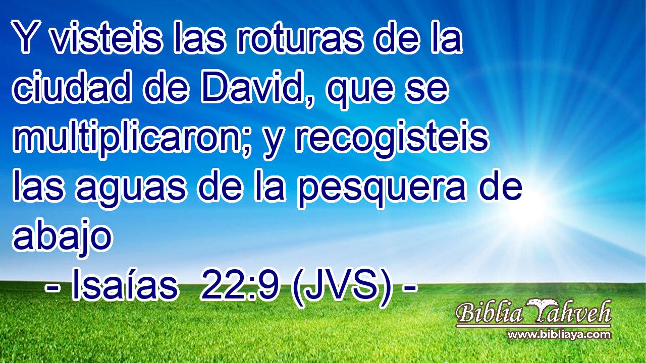 Y visteis las roturas de la ciudad de David, que se multiplicaron; y recogisteis las aguas de la pesquera de abajo