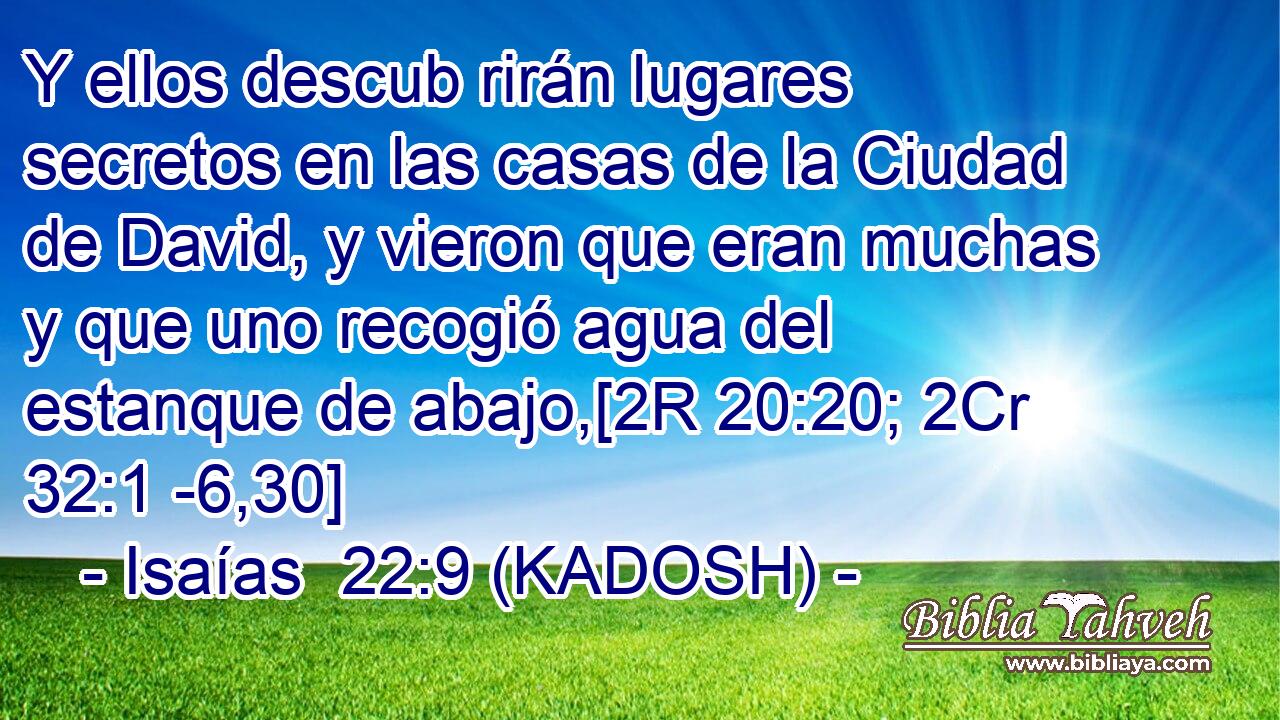  Y ellos descub rirán lugares secretos en las casas de la Ciudad de David, y vieron que eran muchas y que uno recogió agua del estanque de abajo,[2R 20:20; 2Cr 32:1 -6,30] 