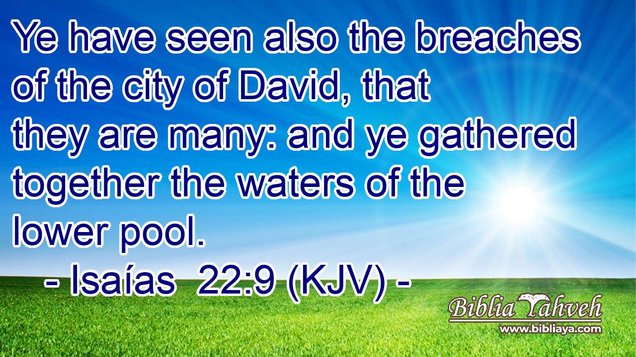 Ye have seen also the breaches of the city of David, that they are many: and ye gathered together the waters of the lower pool.