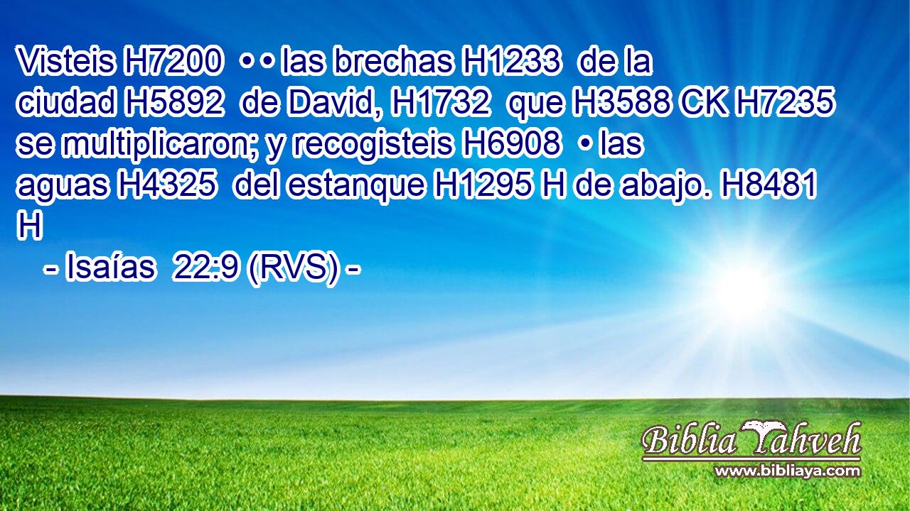 Visteis H7200  • • las brechas H1233  de la ciudad H5892  de David, H1732  que H3588 CK H7235 se multiplicaron; y recogisteis H6908  • las aguas H4325  del estanque H1295 H de abajo. H8481 H 