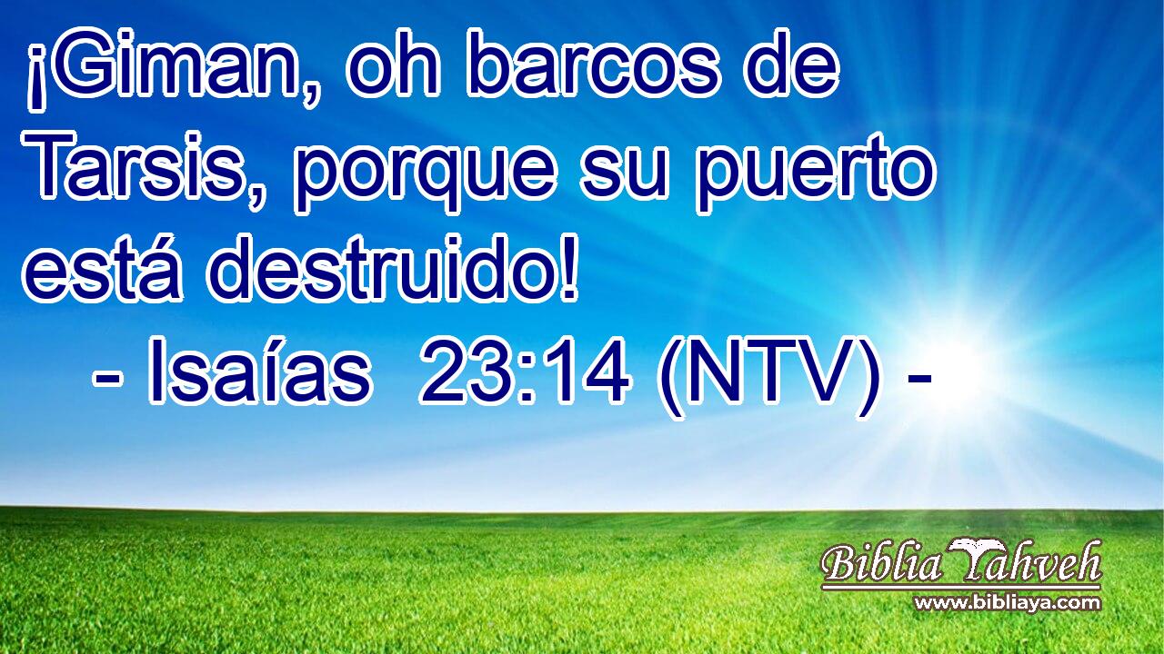 ¡Giman, oh barcos de Tarsis, porque su puerto está destruido!