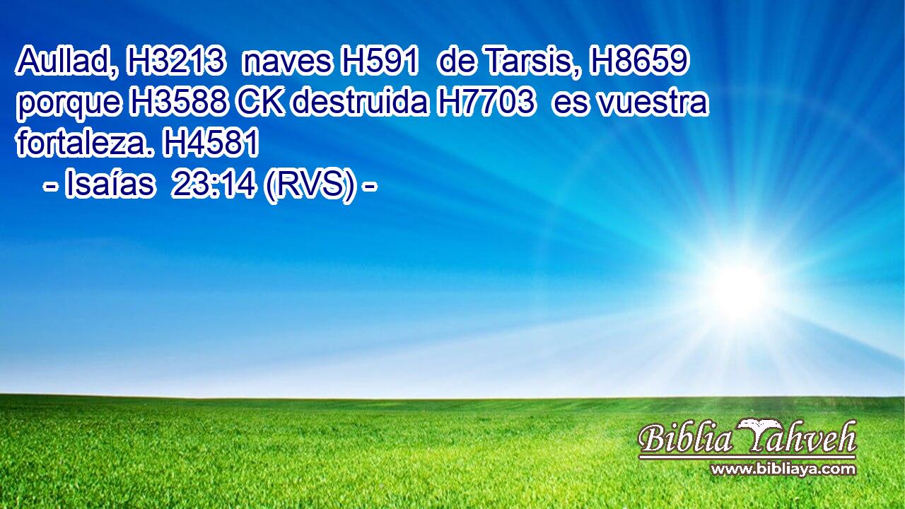 Aullad, H3213  naves H591  de Tarsis, H8659  porque H3588 CK destruida H7703  es vuestra fortaleza. H4581  