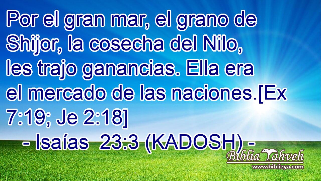  Por el gran mar, el grano de Shijor, la cosecha del Nilo, les trajo ganancias. Ella era el mercado de las naciones.[Ex 7:19; Je 2:18] 