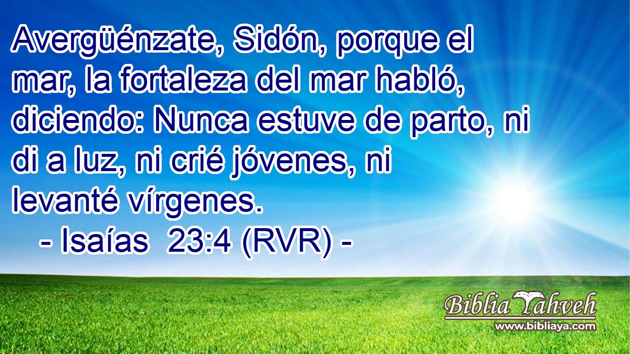 Avergüénzate, Sidón, porque el mar, la fortaleza del mar habló, diciendo: Nunca estuve de parto, ni di a luz, ni crié jóvenes, ni levanté vírgenes.