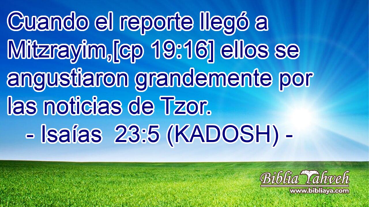  Cuando el reporte llegó a Mitzrayim,[cp 19:16] ellos se angustiaron grandemente por las noticias de Tzor. 