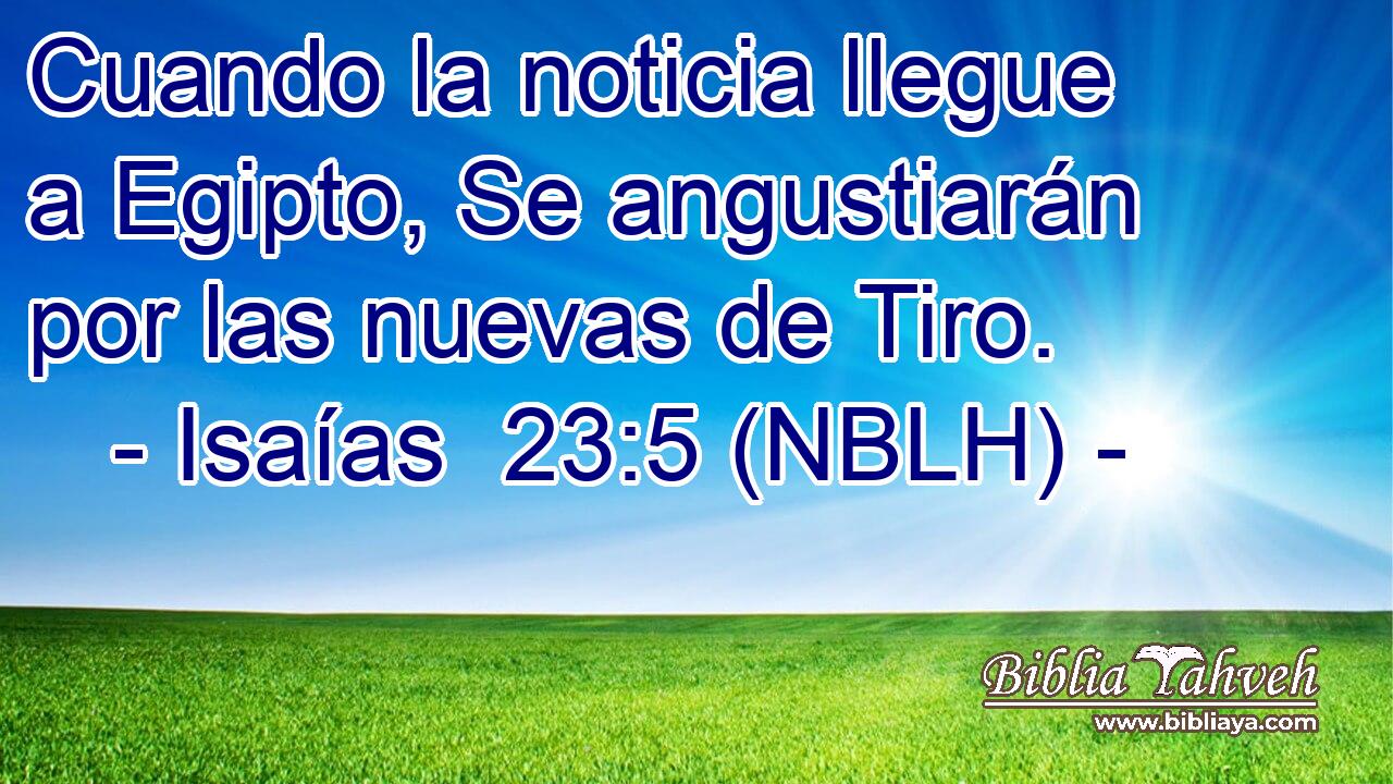  Cuando la noticia llegue a Egipto, Se angustiarán por las nuevas de Tiro. 