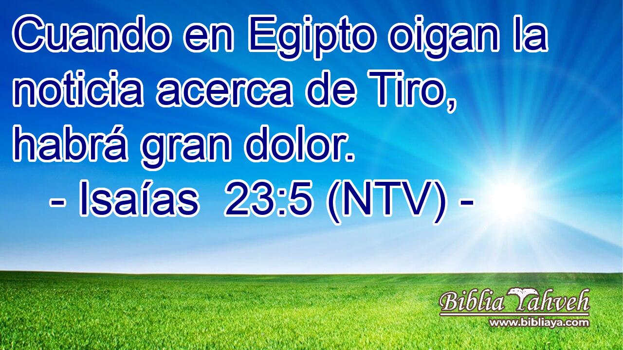 Cuando en Egipto oigan la noticia acerca de Tiro, habrá gran dolor.