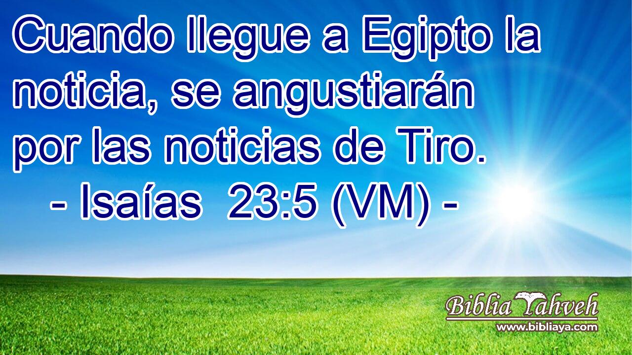  Cuando llegue a Egipto la noticia, se angustiarán por las noticias de Tiro. 