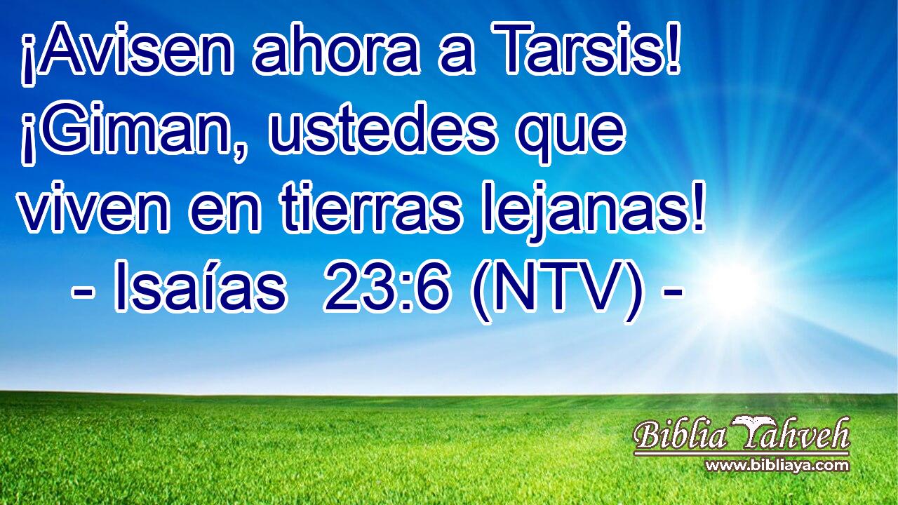 ¡Avisen ahora a Tarsis! ¡Giman, ustedes que viven en tierras lejanas!