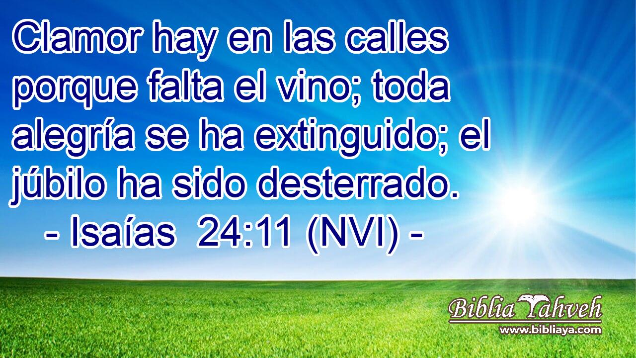  Clamor hay en las calles porque falta el vino; toda alegría se ha extinguido; el júbilo ha sido desterrado. 
