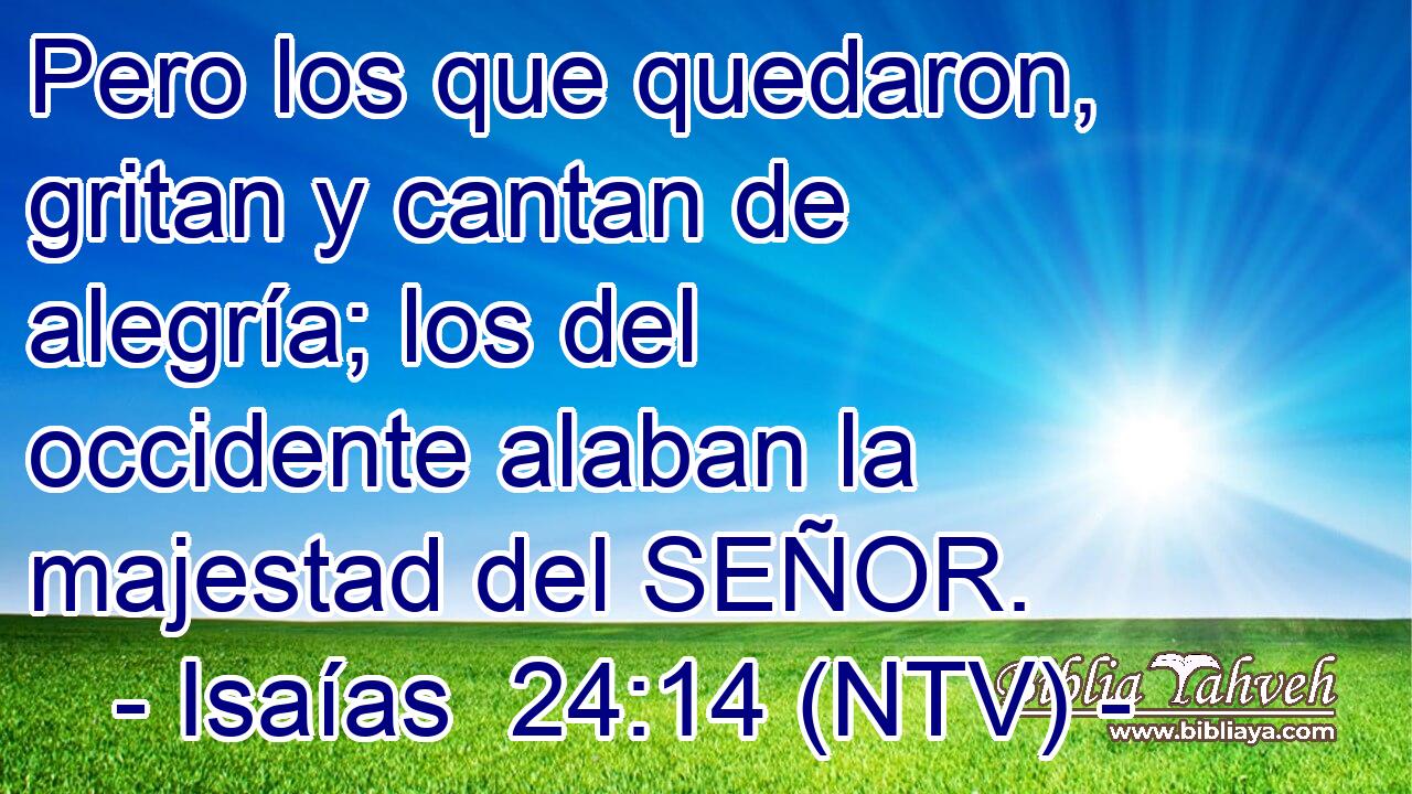 Pero los que quedaron, gritan y cantan de alegría; los del occidente alaban la majestad del SEÑOR.